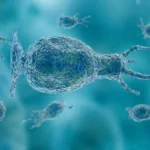 North Carolina Teen Critically Ill After Rare Brain-Eating Amoeba Infection: What to Know